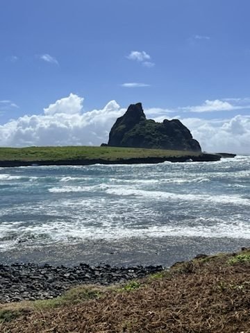 Ilha rochosa com vegetação e ondas quebrando em pedras escuras