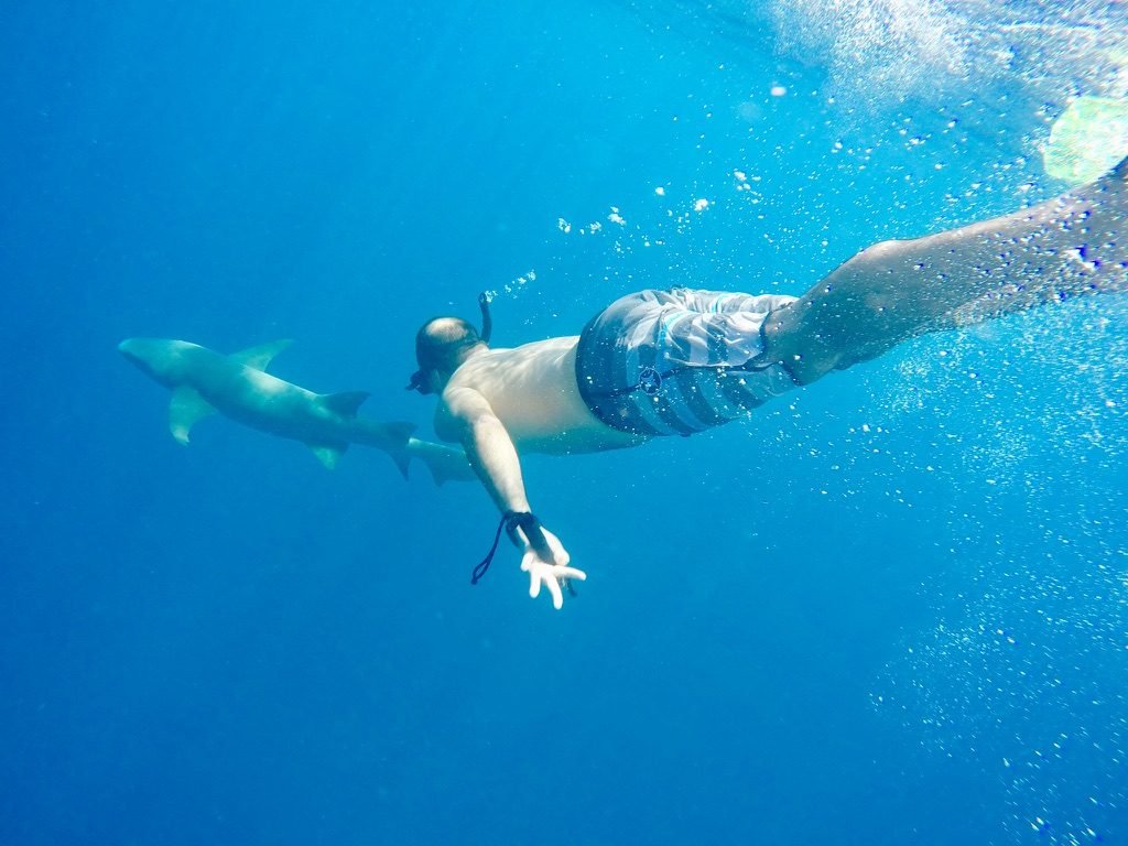 Tiago Lopes mergulhando com snorkel ao lado de um tubarão, em água azul profunda, nas Maldivas